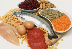  Good Nutrition Protein Options